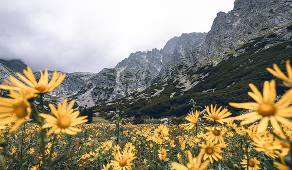 Tips for trips in the Tatras